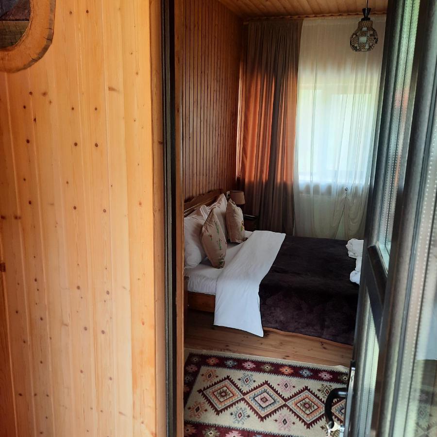 Bana Hotel Kazbegi Exterior photo